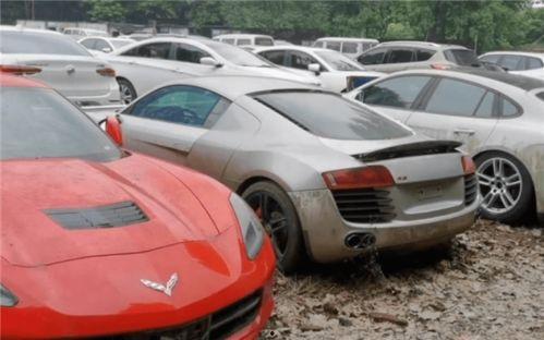 最新玛莎爆料视频大全,揭秘娱乐圈幕后真相  第1张